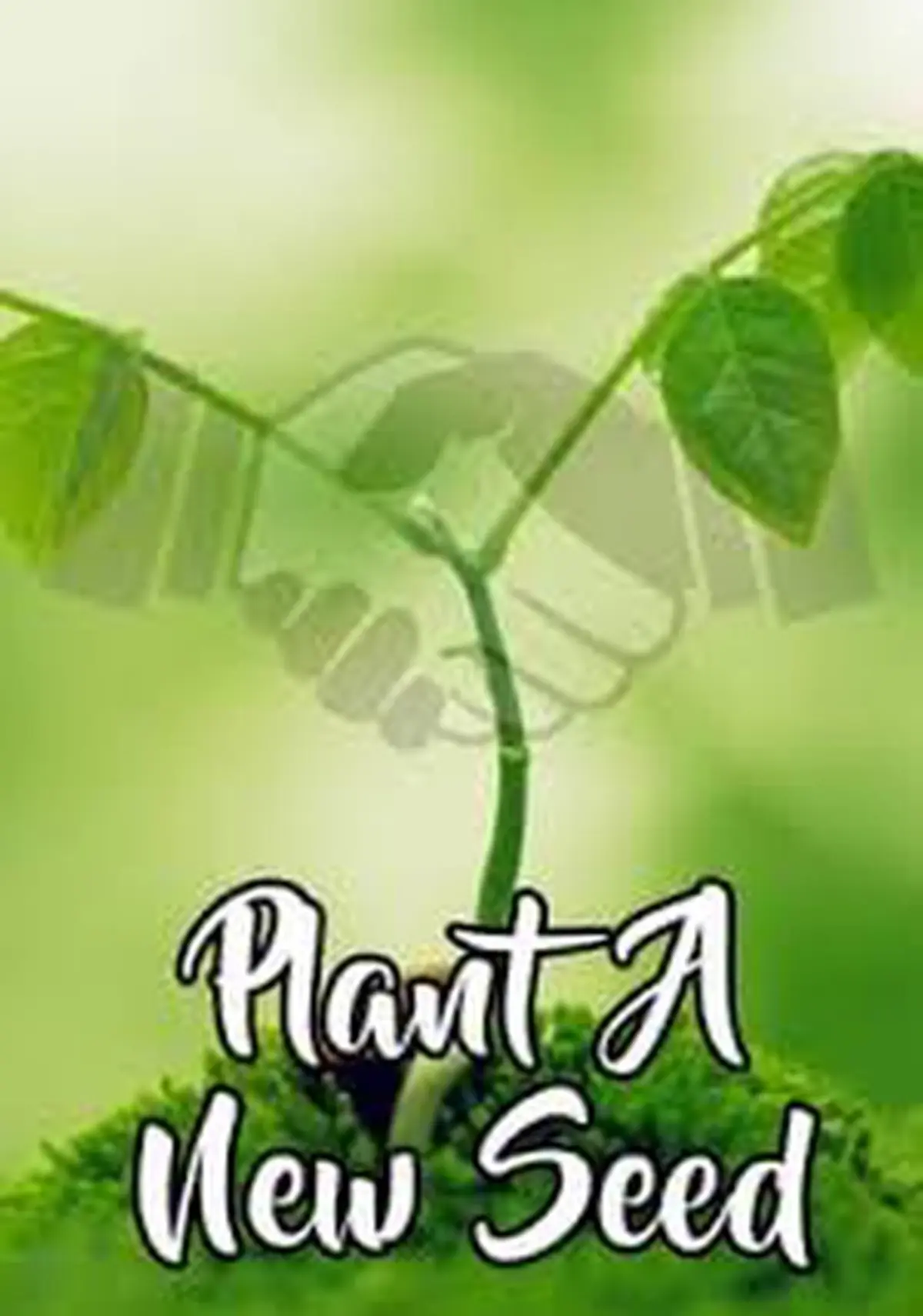 Plant A New Seed