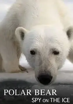 Ekeines... ki ego S01E02 Épisode 2