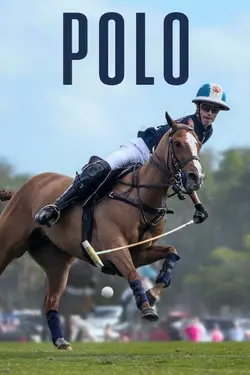 Polo S01E02 La concentration