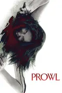 Affiche Prowl