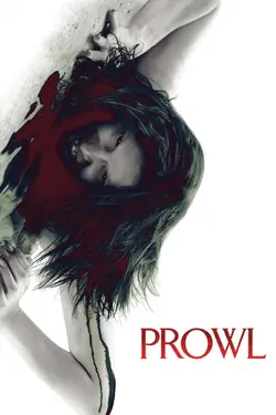 Affiche Prowl