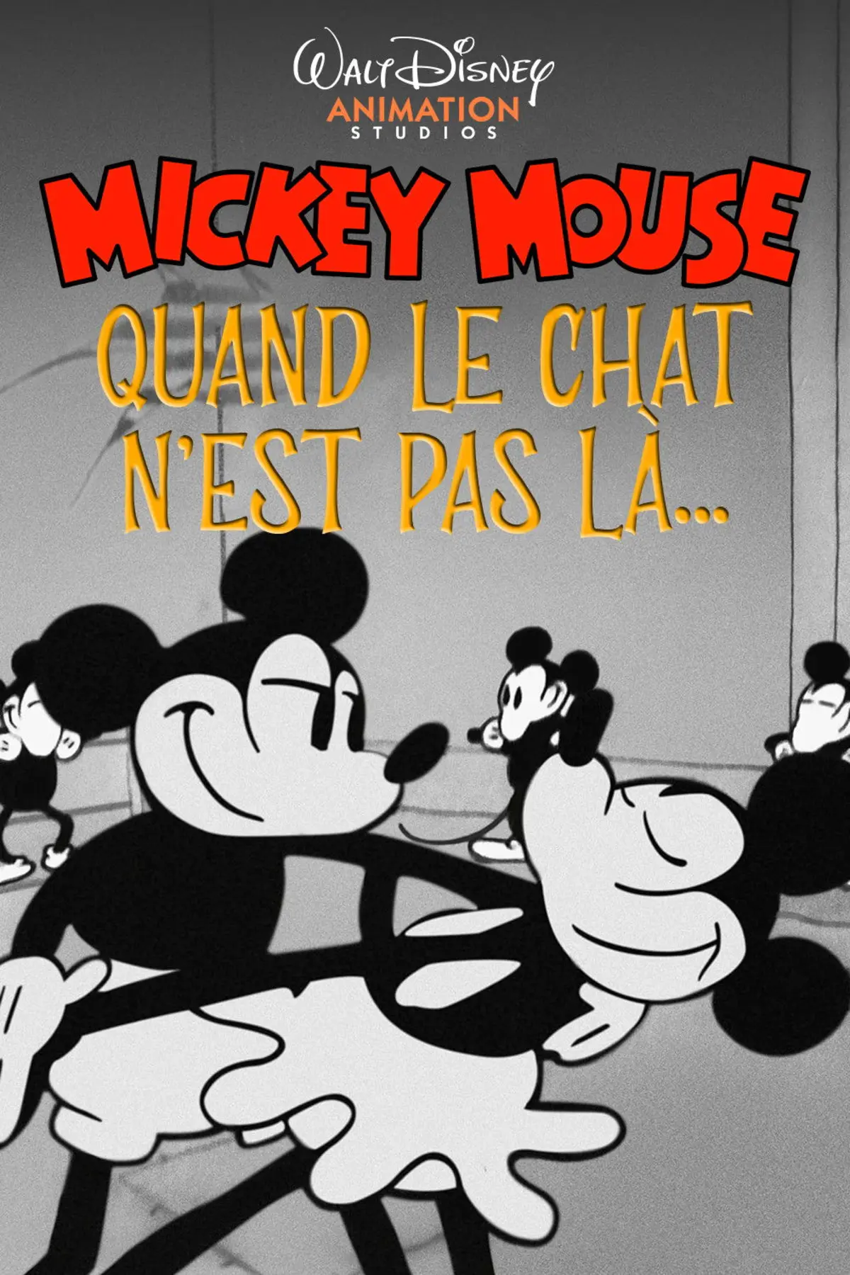 Quand le chat n'est pas là