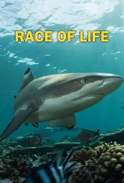 Race of life S01E12 Épisode 12