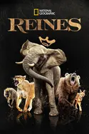 Affiche Reines Petites reines de la jungle