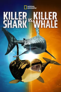 Affiche Requin vs Orque