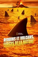 Affiche Requins et volcans, forces de la nature en streaming