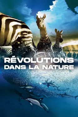 Révolutions dans la nature S01E05 La crue de l'Okavango