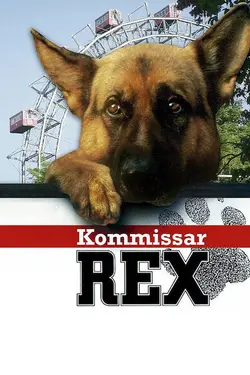 Rex, chien flic S17E06 Le code Rex