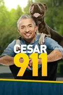 Affiche S.O.S. Cesar