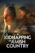 Affiche Secrets en pays Amish