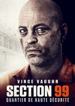 Affiche Section 99