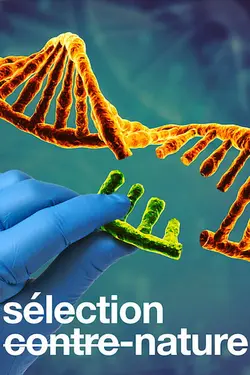 Sélection contre-nature S01E03 La transformation d'une espèce