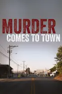 Affiche Small Town Murder Disparition inquiétante en streaming