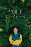 Affiche Soft Leaves