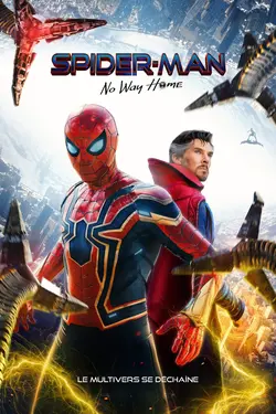 Affiche Spider-Man : No Way Home