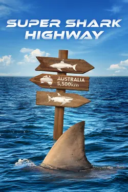 Super Shark Highway S01E03 Épisode 3
