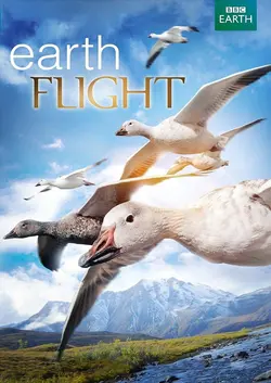 Sur les ailes des oiseaux! S01E04 L' Amérique du Sud