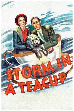 Affiche Tempête dans un verre d'eau