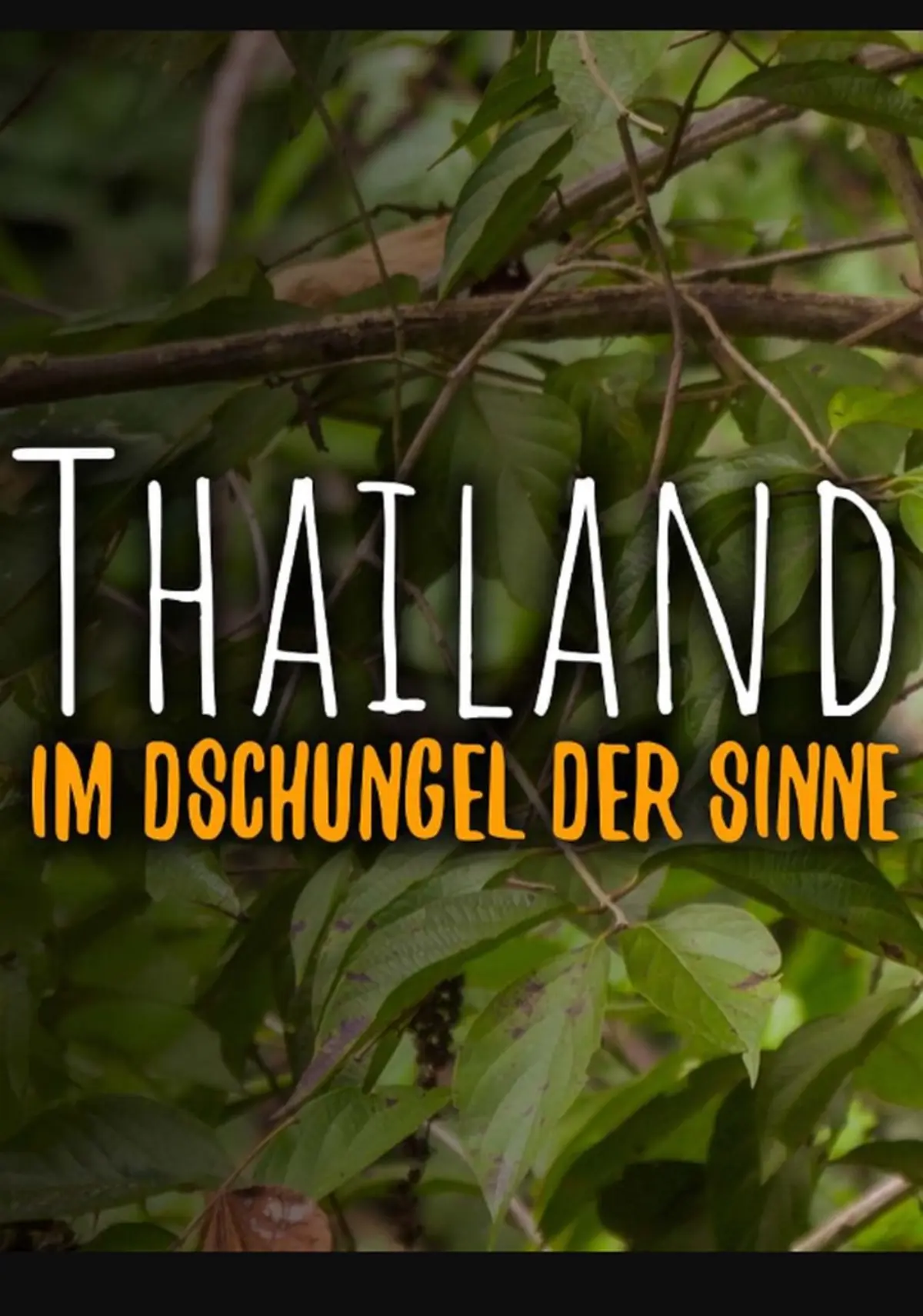 Thailand - Im Dschungel der Sinne