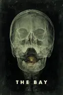 Affiche The Bay en streaming