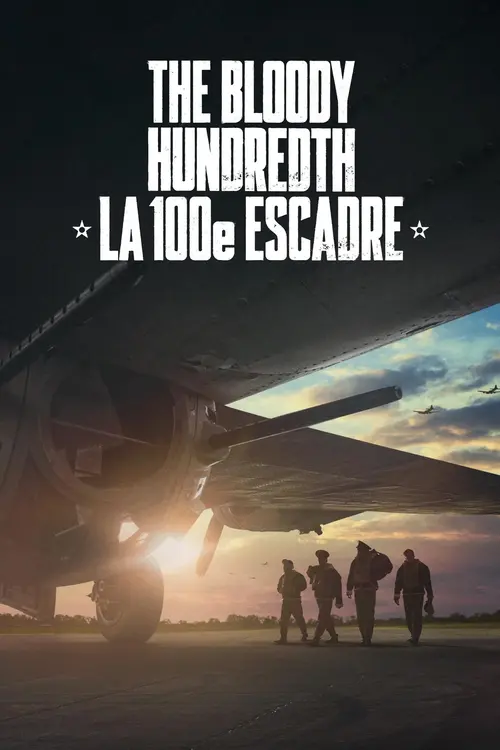The Bloody Hundredth : la 100e escadre