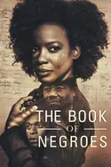 Affiche The Book of Negroes