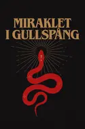 Affiche The Gullspang Miracle