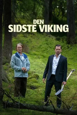Affiche The Last Viking