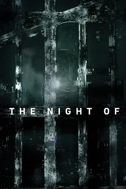 The Night Of S01E03 La cage noire
