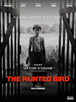 Affiche The Painted Bird