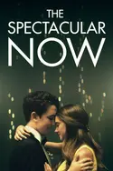 Affiche The Spectacular Now