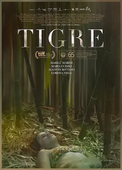 Affiche Tigre