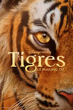 Tigres : le making of