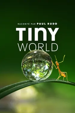 Tiny World S02E03 L'étang