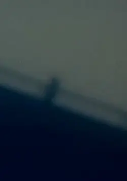 Úmysl obohatit holý mechanistický svět