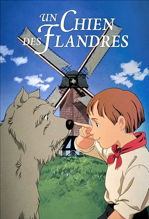 Un chien des Flandres