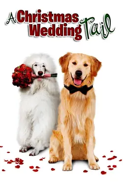 Affiche Un mariage en cadeau