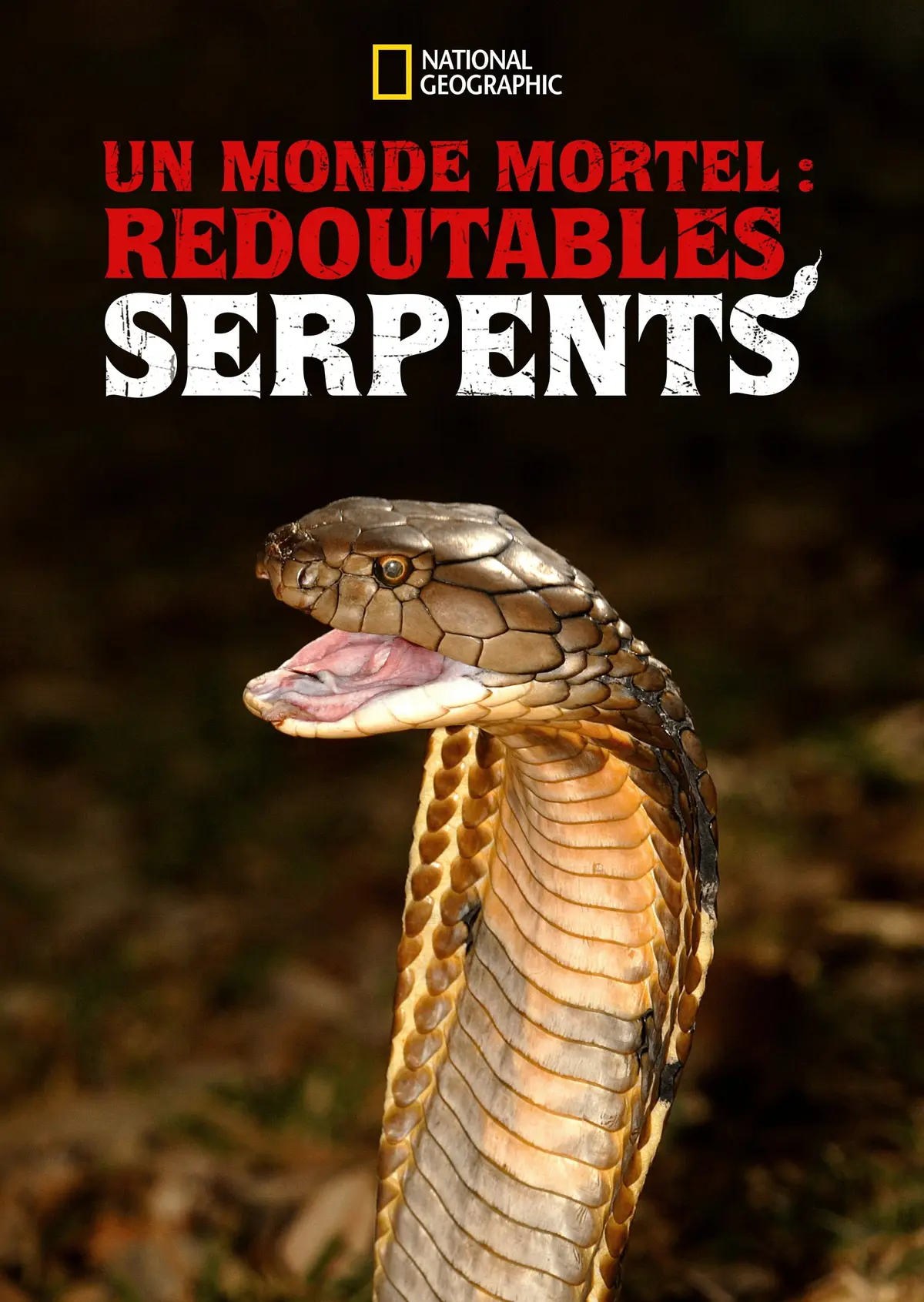 Un monde mortel : redoutables serpents
