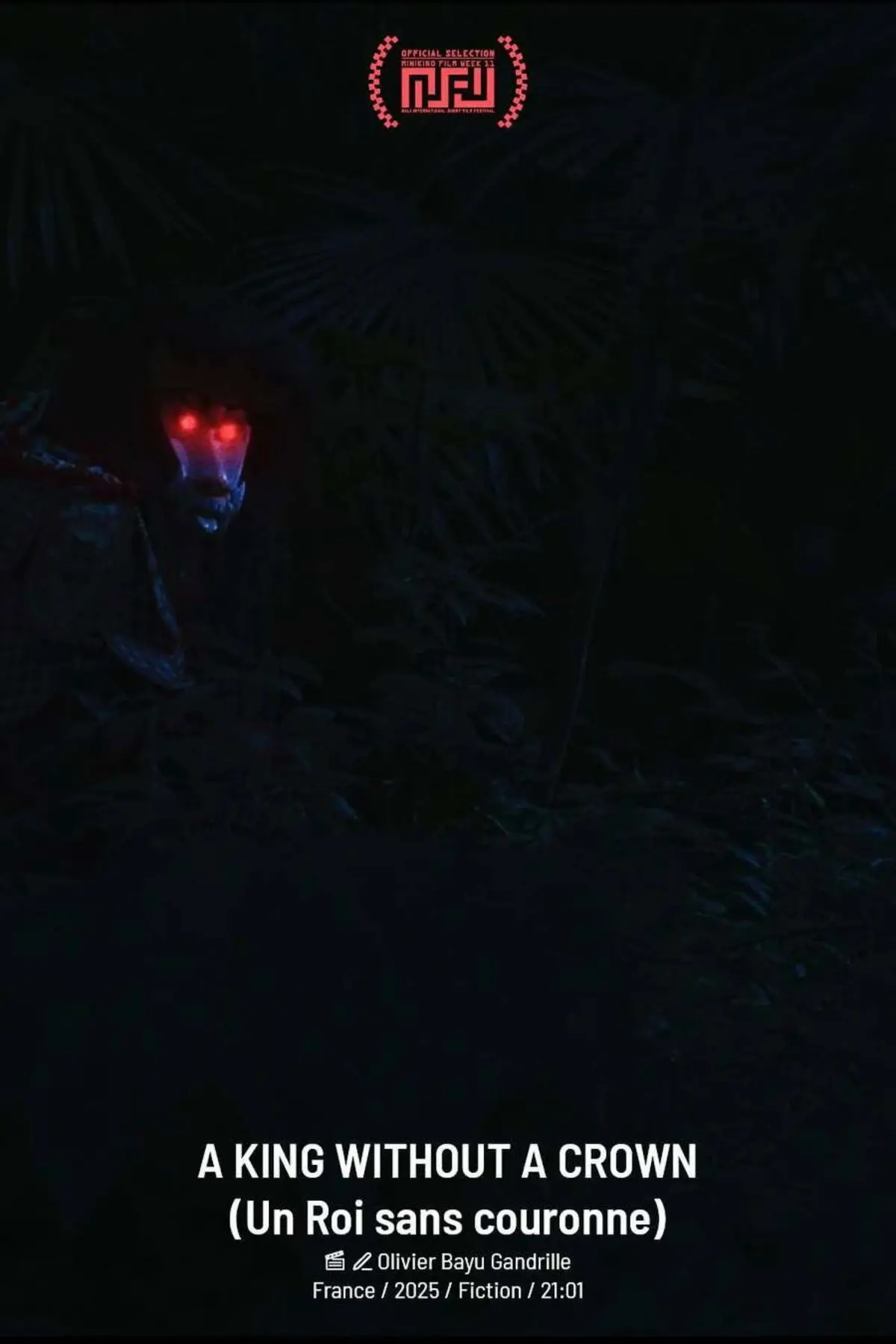 Un Roi sans couronne