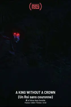 Affiche Un Roi sans couronne