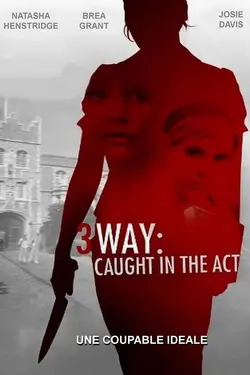 Affiche Une coupable idéale