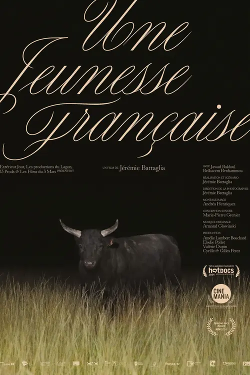 Une jeunesse française