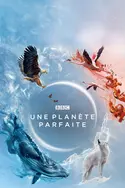 Affiche Une planète parfaite Les forces du soleil