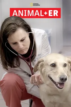 Urgences Animales S02E06 Au fond du terrier du lapin