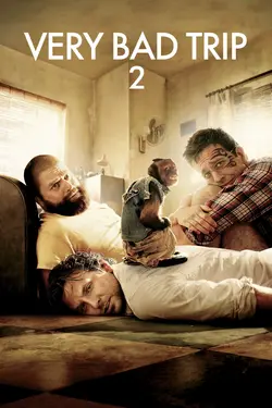 Affiche Very Bad Trip 2