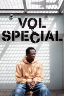 Affiche Vol spécial