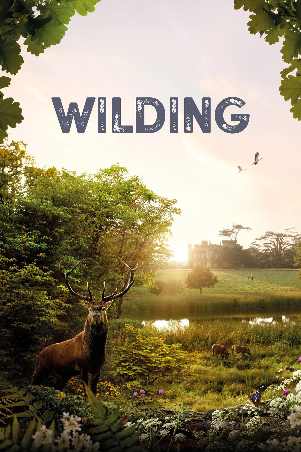 Wilding, Retour à la Nature Sauvage