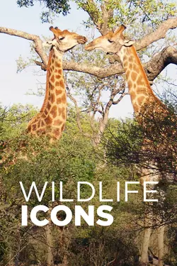 Wildlife Icons S01E05 Épisode 5