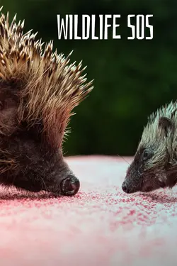 Wildlife SOS S09E08 Épisode 8