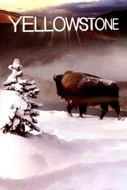 Yellowstone: Battle for Life S01E03 Automne
